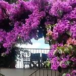 Nature River Espigueiro Ii Σπίτι διακοπών