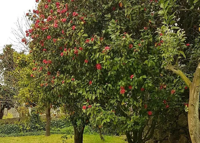 Ferienhaus Nature River Espigueiro Ii *